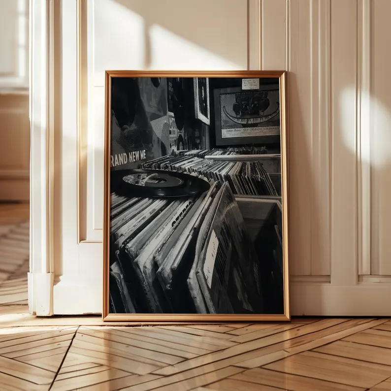 Negozio di dischi in vinile mo - Home Decor Store recensione e prezzo
